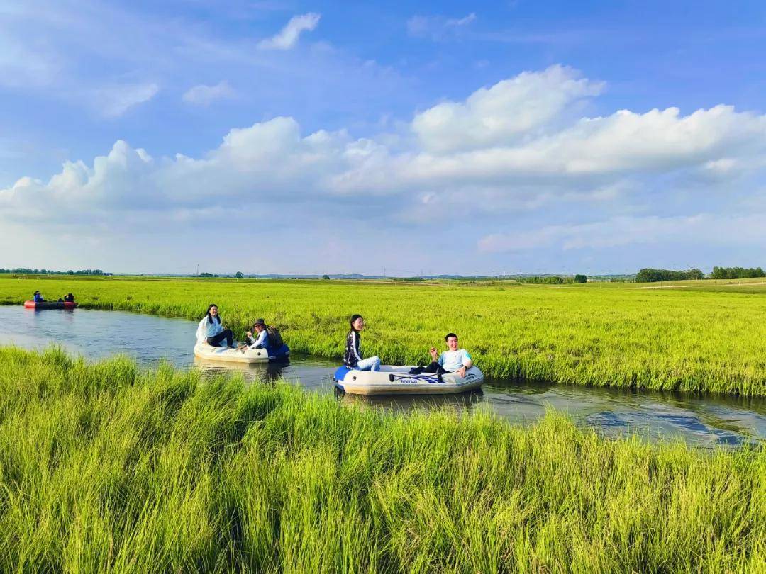 其它比如干枝梅等花期陆续登场)seaofflowers锡林郭勒大草原世界文化