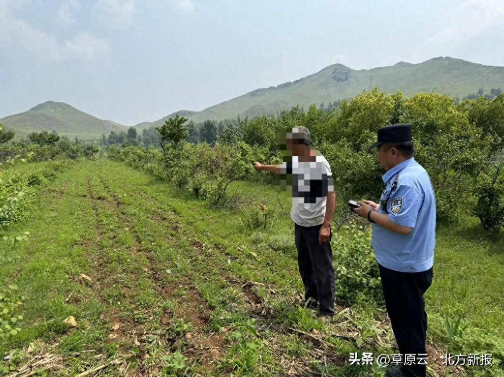非法开垦林地 一男子被罚_张某某_管理_农作物