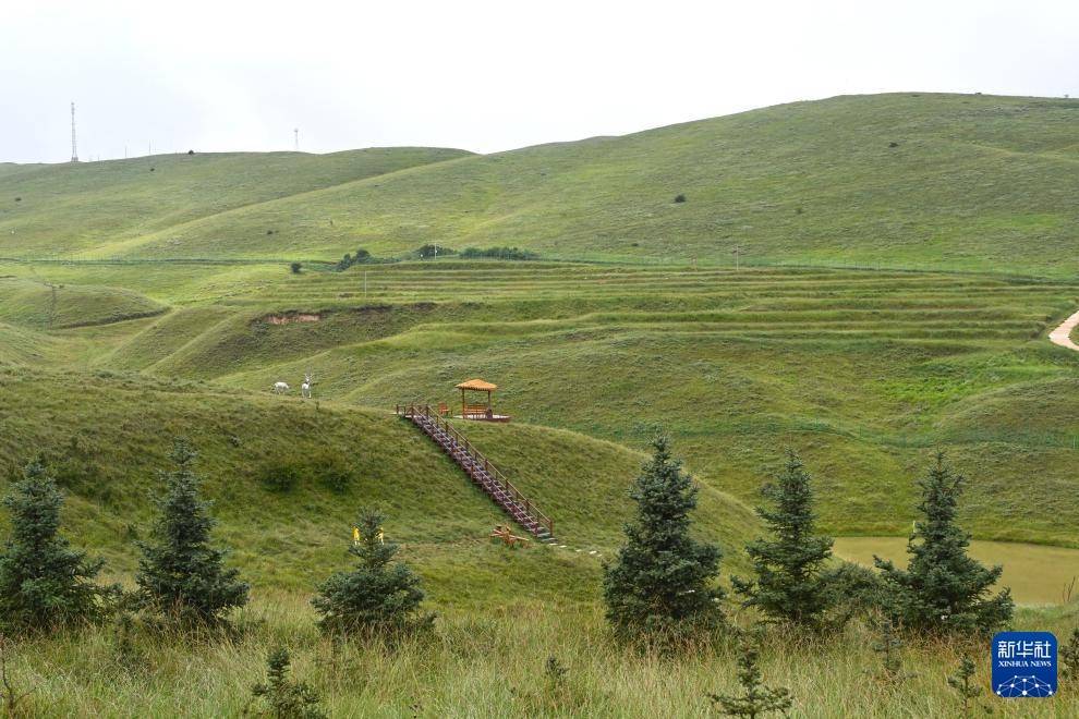 固原云雾山风景区图片