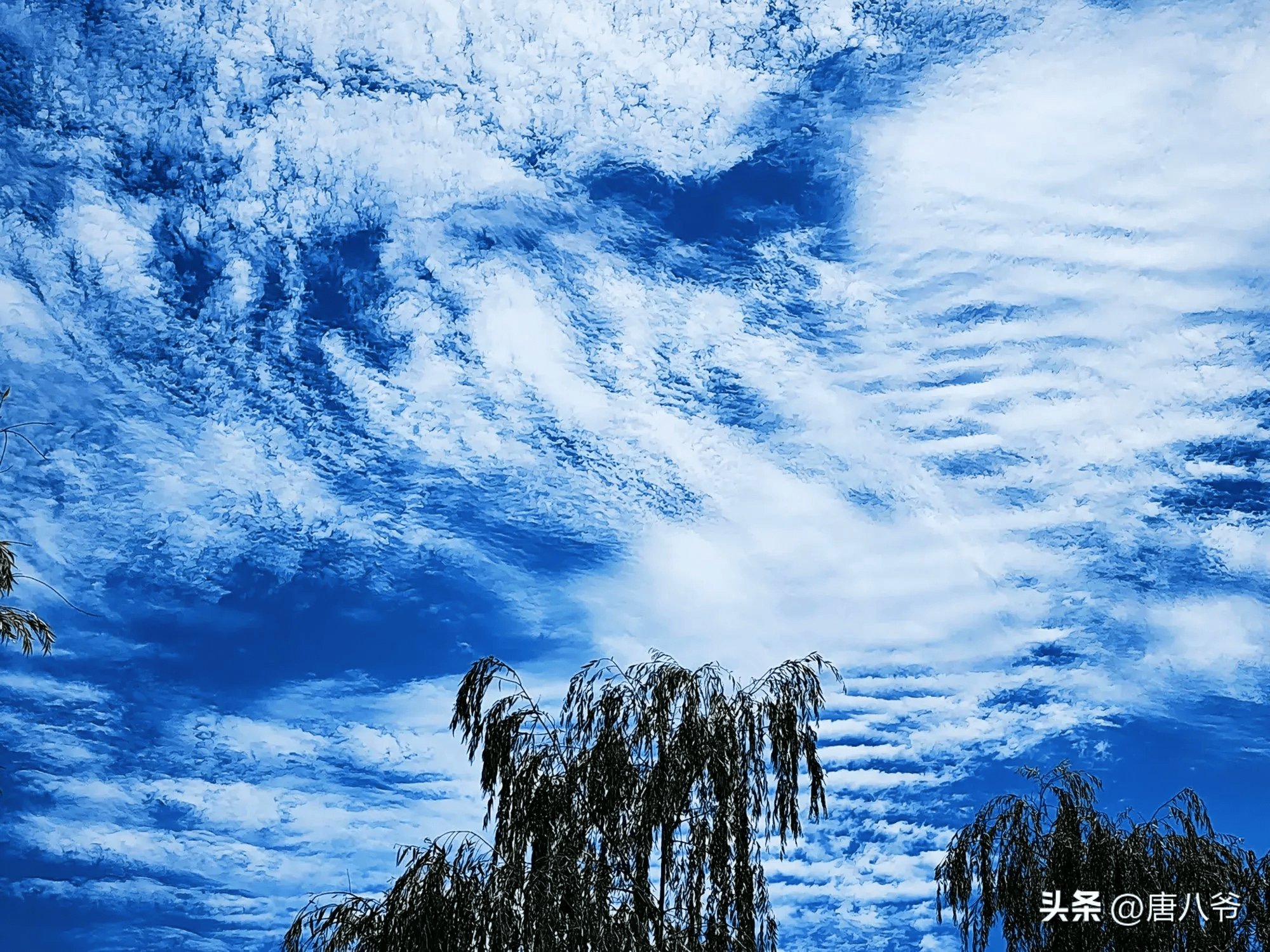 云儿轻轻地飘浮在天空中,它们在阳光的照耀下熠熠生辉,绚丽多彩