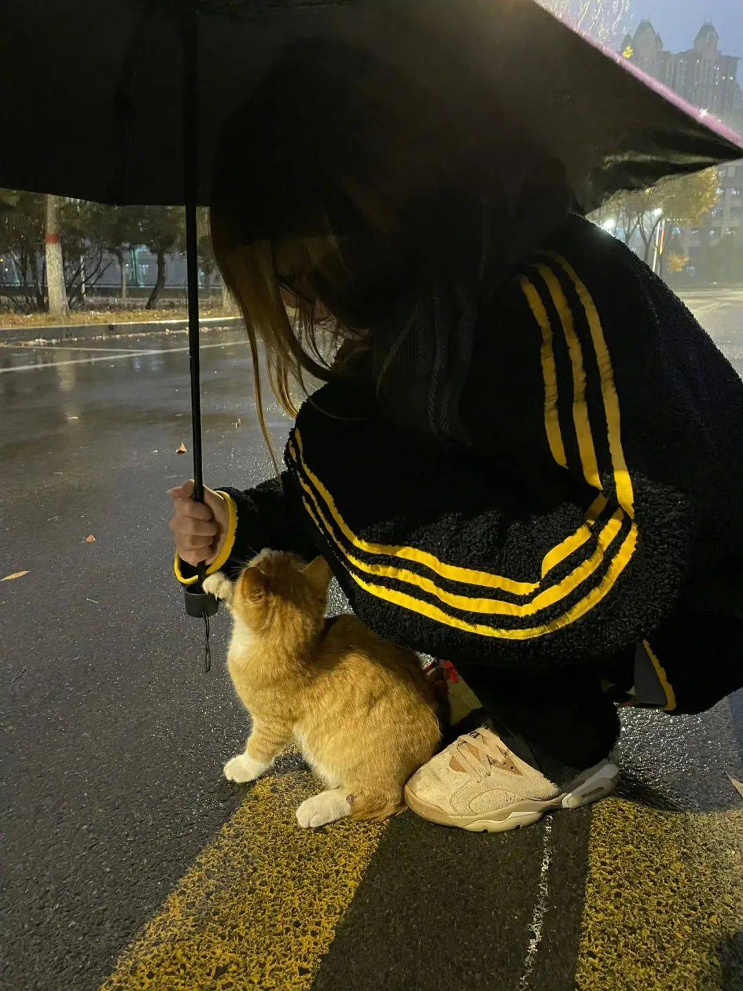 谢谢你打伞侠返回搜狐查看更多