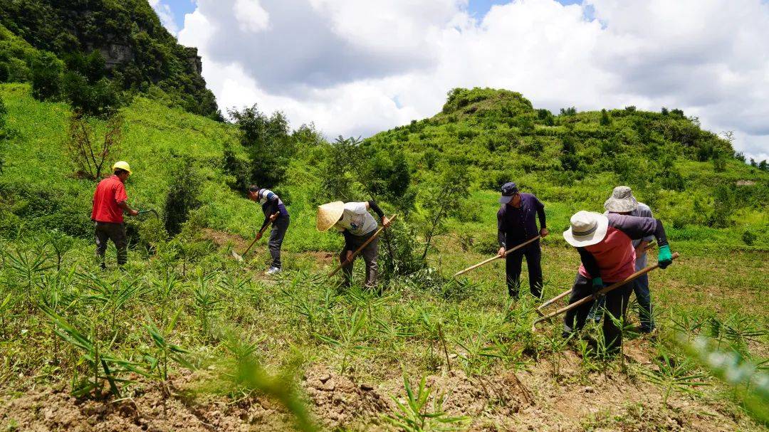 【转作风 抓落实 促发展】石朝乡:淬炼作风强担当 笃行奋进谱新篇
