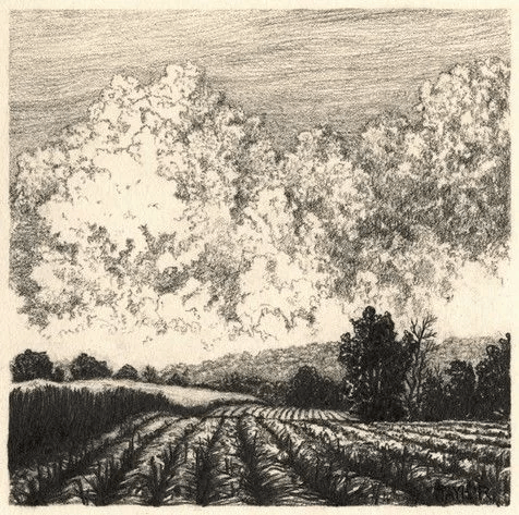 画云,用黑白灰关系表达_在线_铅笔_艺术