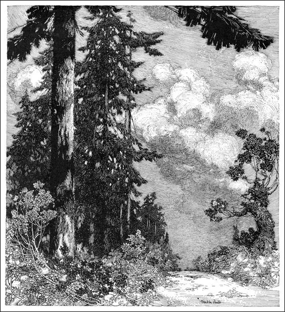 画云,用黑白灰关系表达_在线_铅笔_艺术