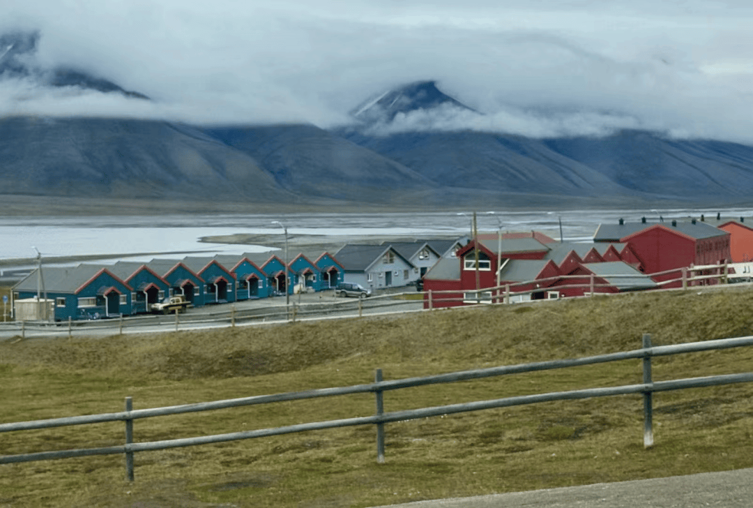 北极之旅,行行摄摄 (二):踏流冰,触冰雪,叩拜海洋动物,"冰原王者"北极