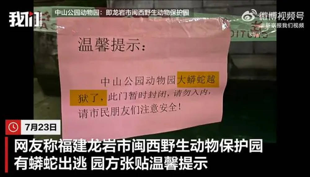 园方回应 在1公里外被人发现 福建一动物园蟒蛇出逃近20天 已找到