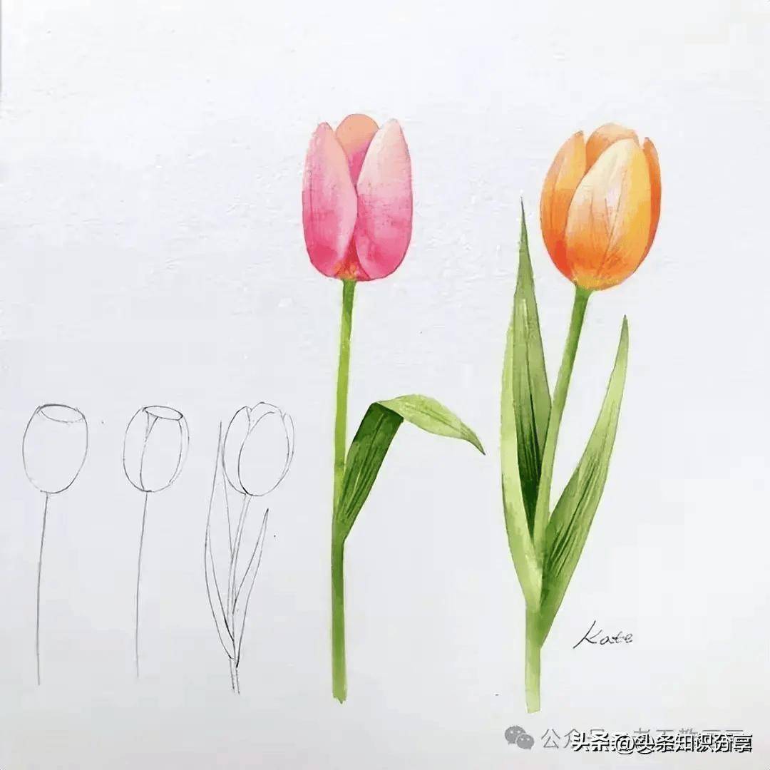 原来画花