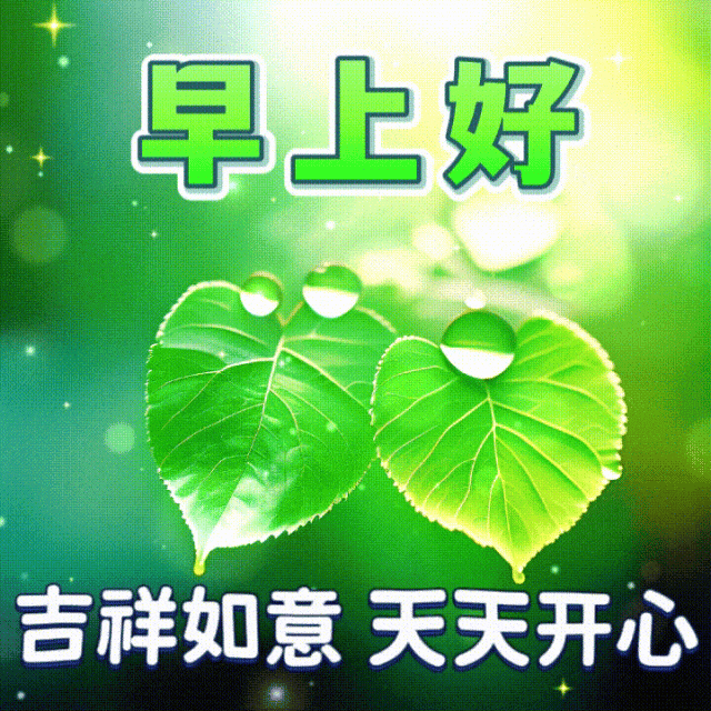8月11日最漂亮早上好动态表情图片大全,早晨好动图美图大全