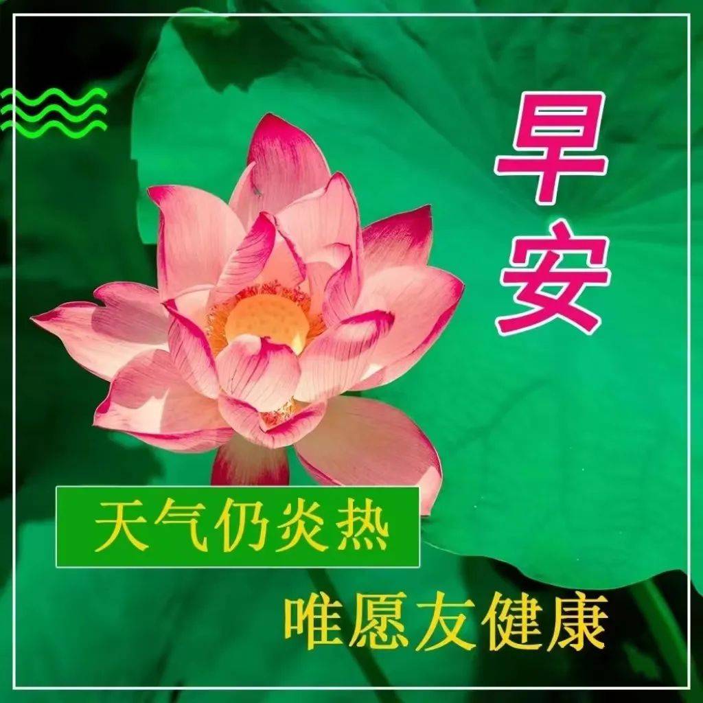 中老年早上好表情包大全