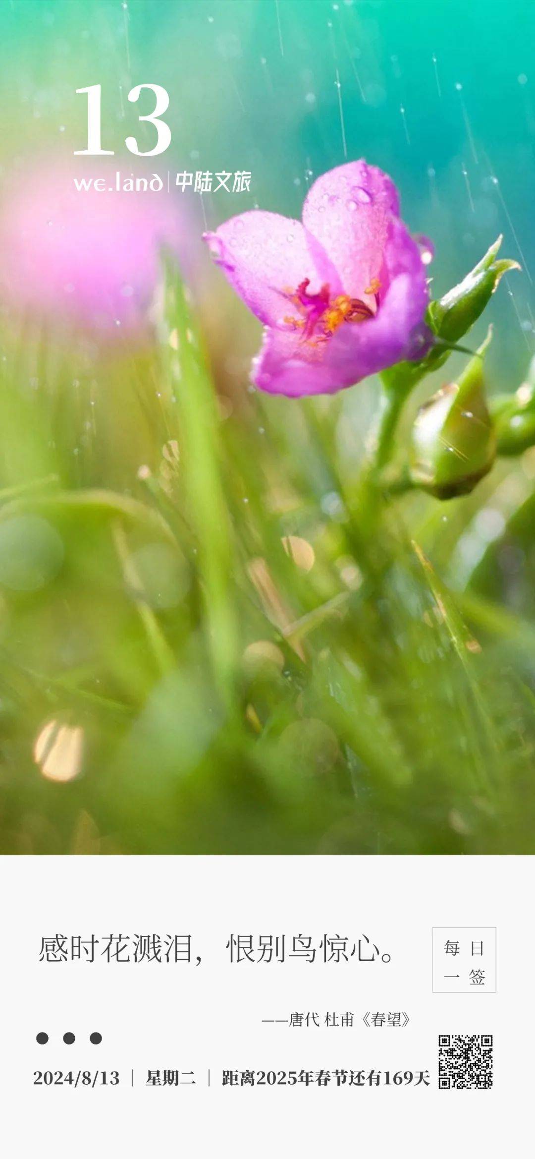 每日一签｜感时花溅泪，恨别鸟惊心。_全诗_景中_感情