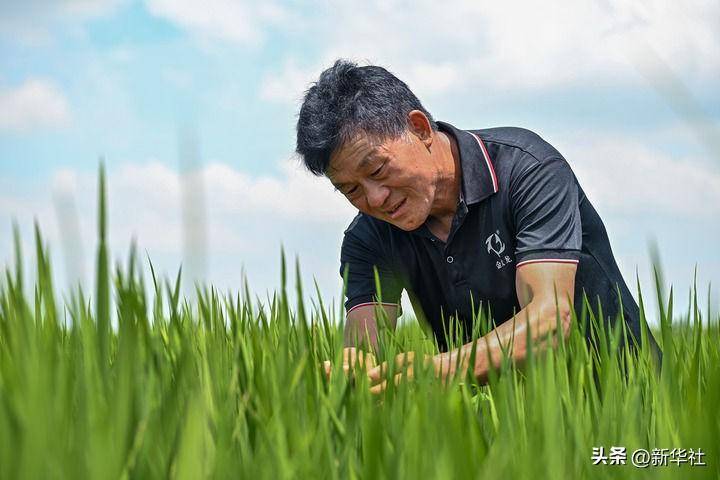 打开城乡融合发展新空间