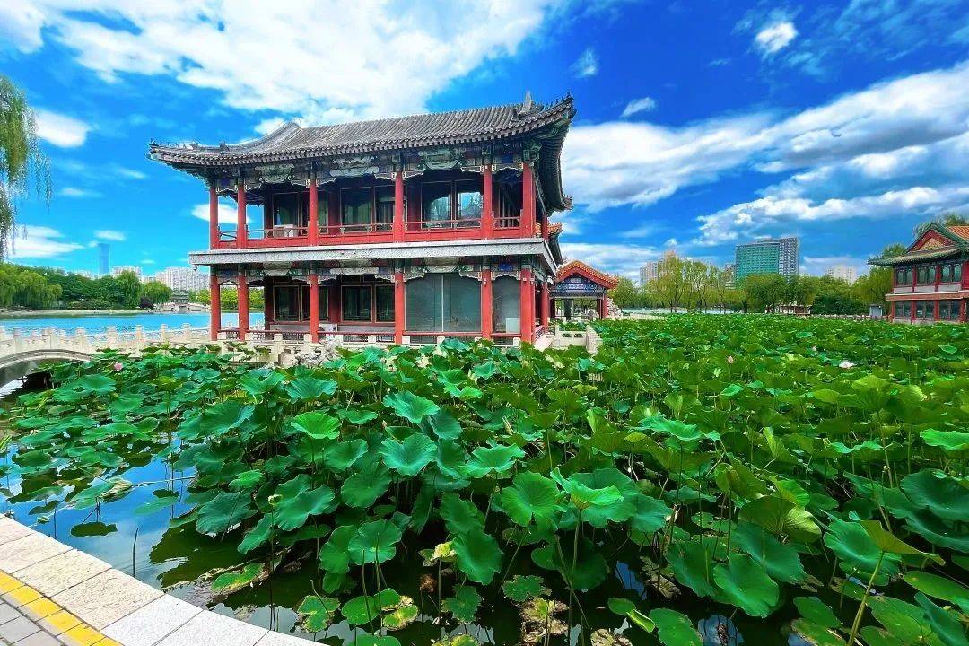 碧空如洗,澄澈通透,蓝天映衬下的北京园博园,微风轻拂,水波荡漾,与