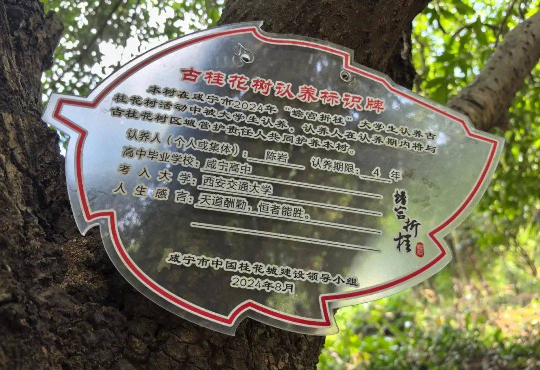 群被认定为中国重要农业文化遗产,桂花源风景区荣获"中国最美古树群"