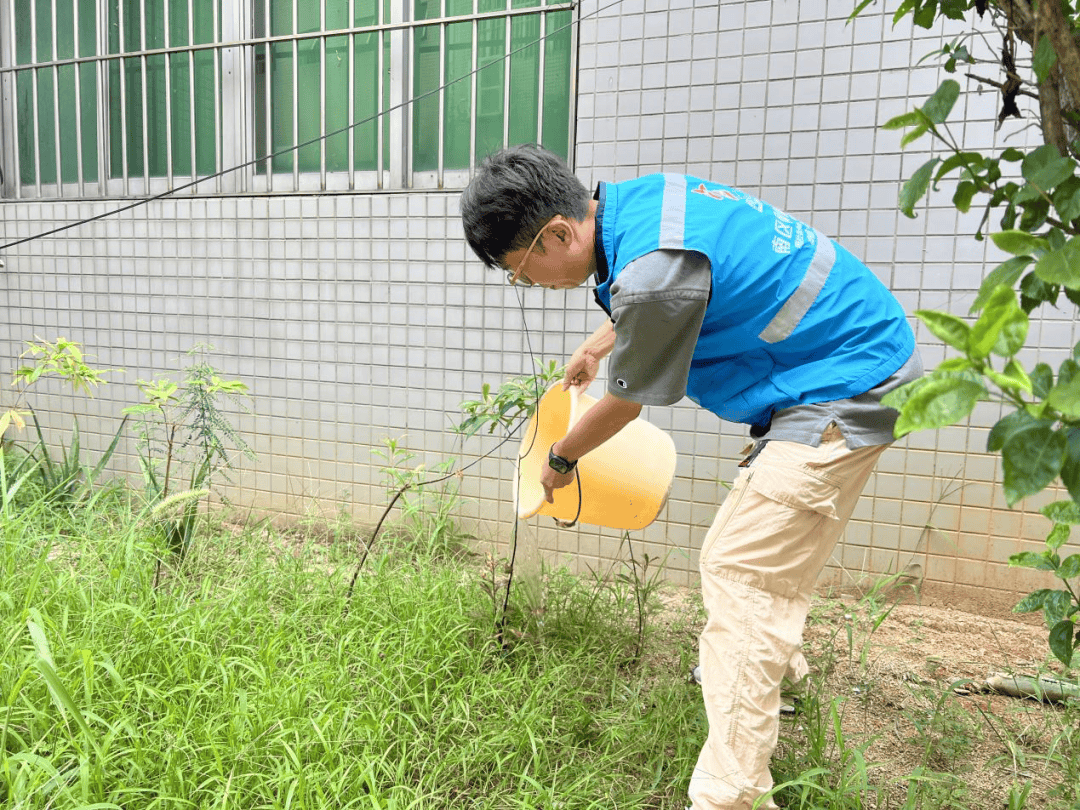 网格蓝为南区充植