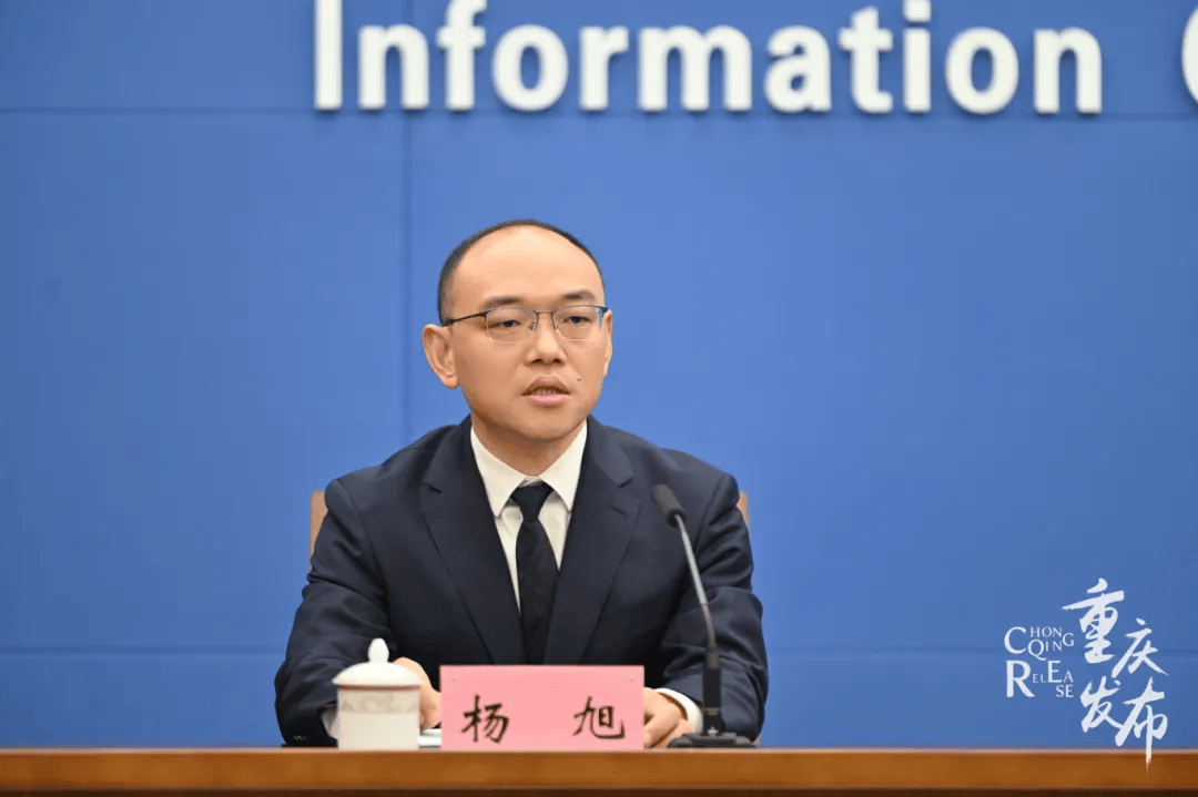 聚焦丰都|关爱留守儿童,走出创新"丰"范_组织_家长_杨旭