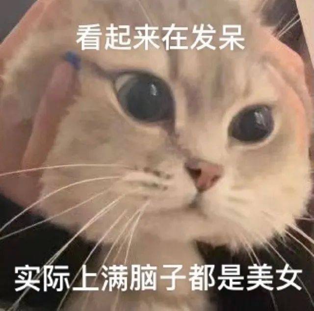 瑟瑟表情包 黄油小熊表情包