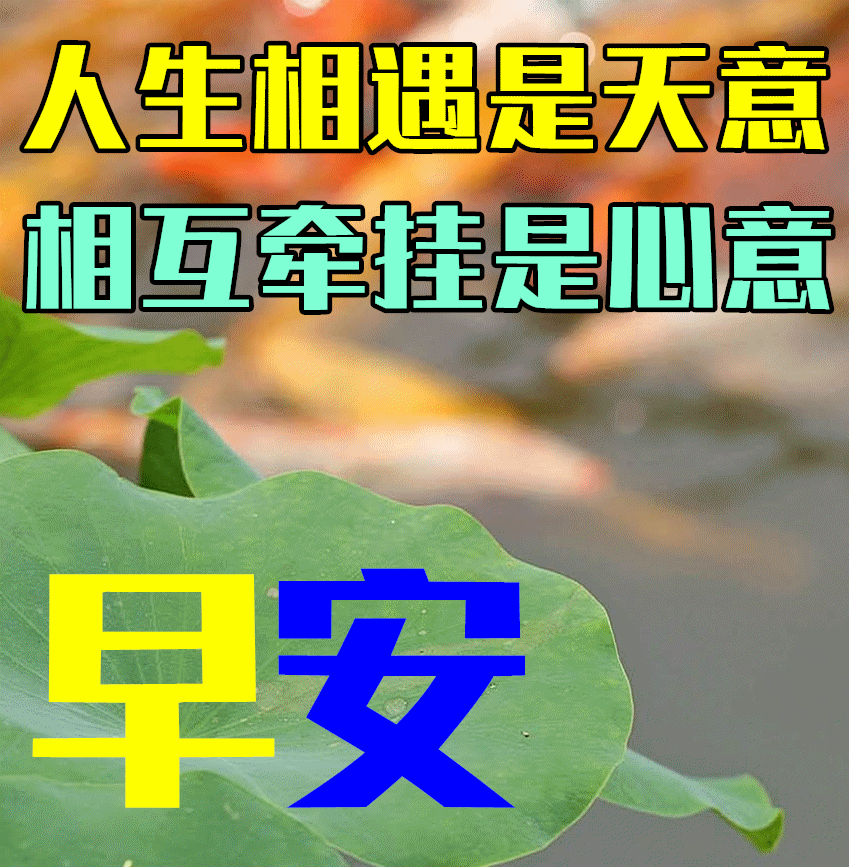 551feb3f3c5a4823991949925c75d89b.webp