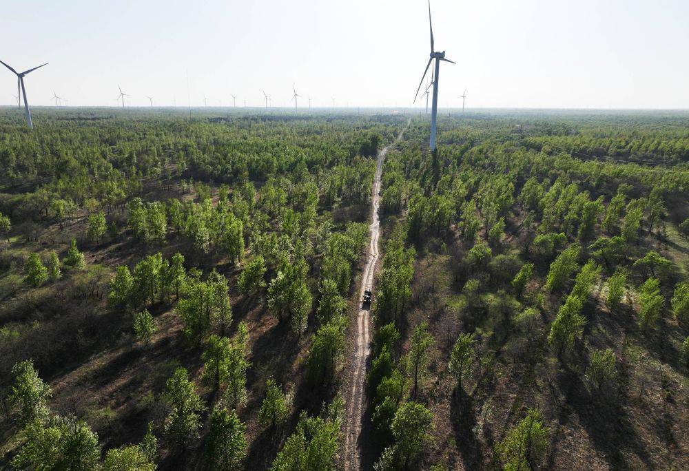 东北全面振兴观察:护林增绿 筑牢北方生态安全屏障