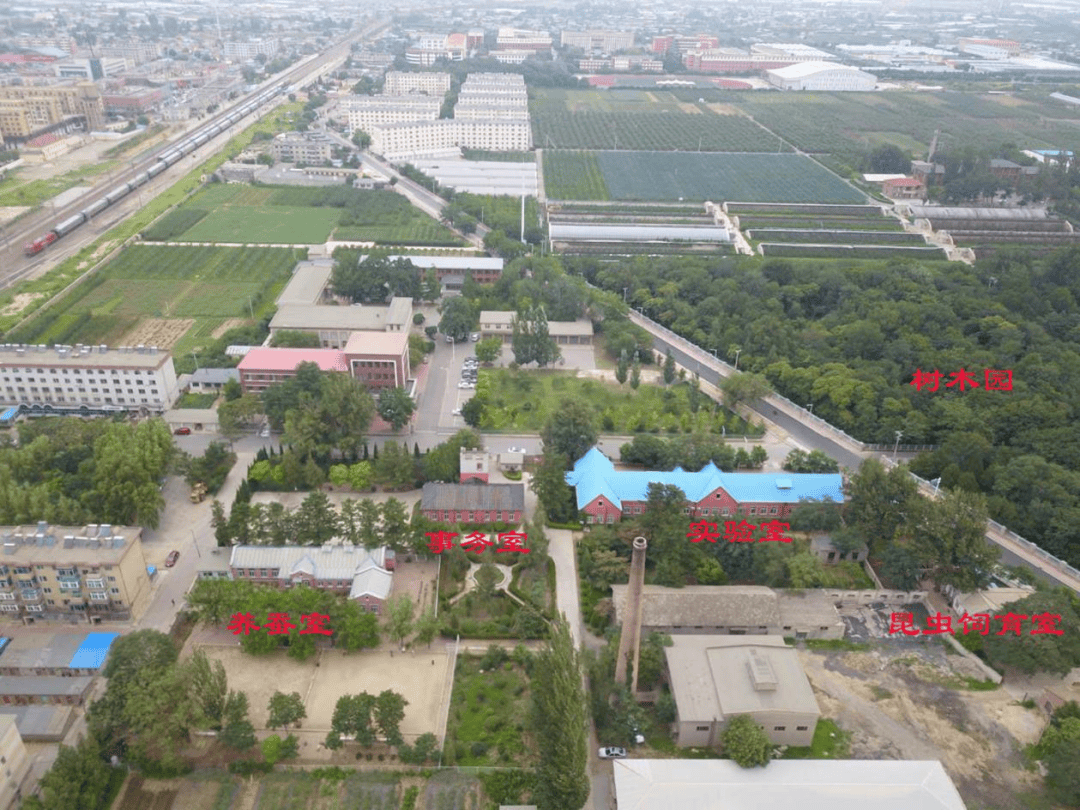 国家级文物保护单位中东铁路建筑群丨满铁农事试验场熊岳城分场旧址_空间_树种_木屋架
