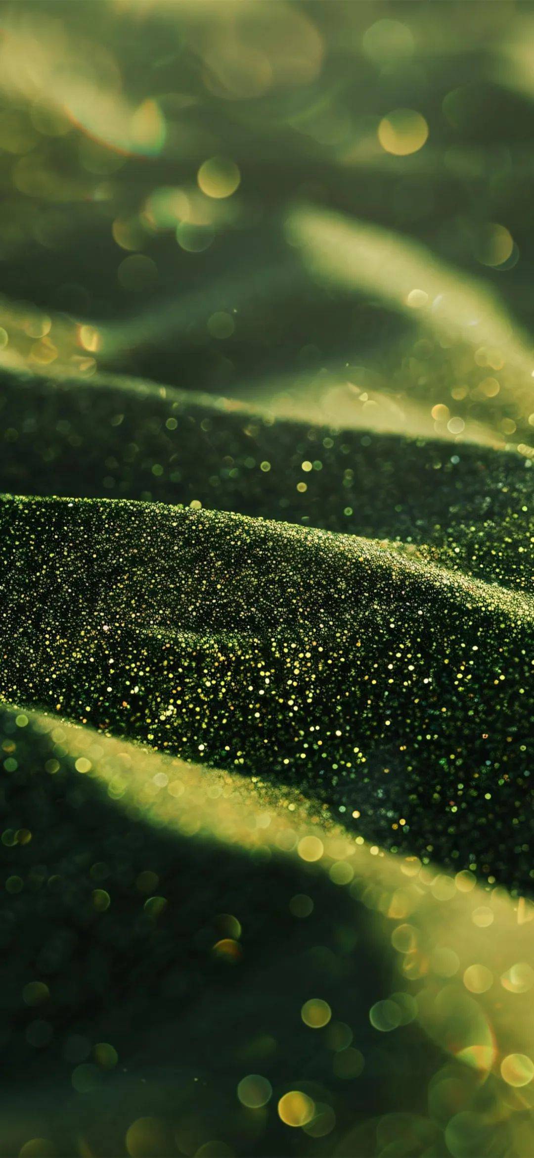 壁纸合集 | blingbling的壁纸