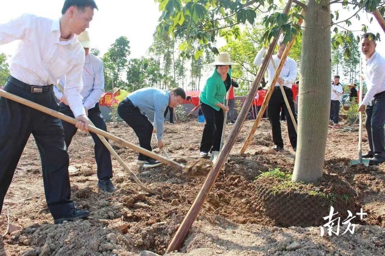 环球360平台各施“绿”法各有精彩阳春扎实推进县镇村绿化(图2)