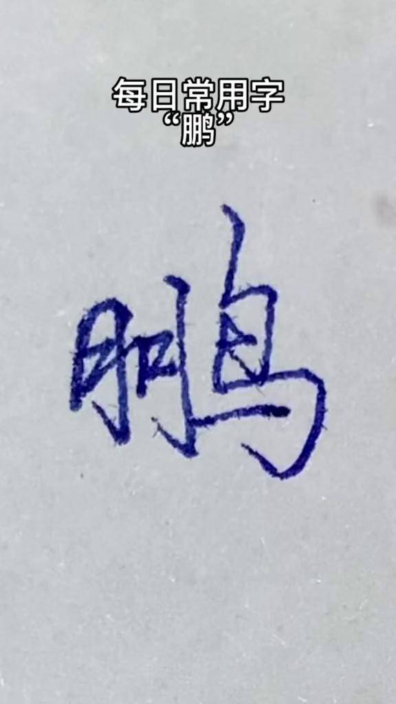 每日常用字"鹏",是谁评论区艾特出来吧创作灵感 练字 手写 抖音书法