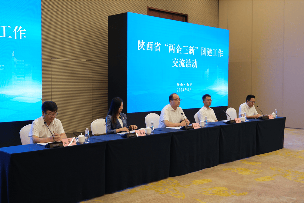 团市委参与全省“两企三新”团建工作交流活动_青年_陕西省_西安