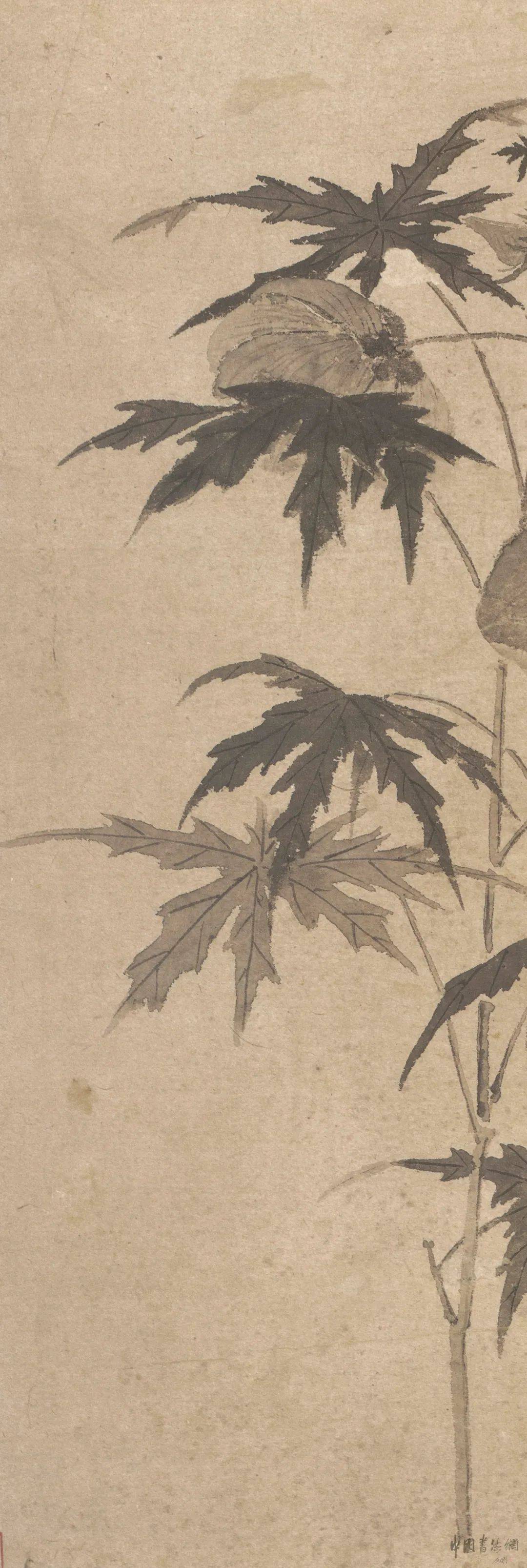 赏画| 文徵明《秋葵折枝图》_蓝之美_廖伟夫_版权