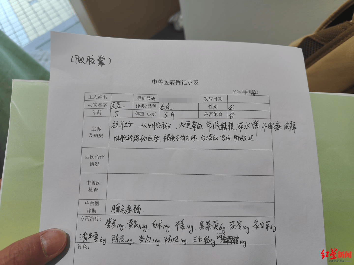 杨先生给记者展示了"豆豆"的病历,通过中兽医诊断,显示为脾气虚弱,要