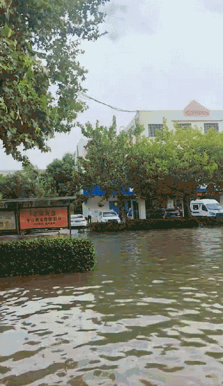 山东多地特大暴雨破纪录