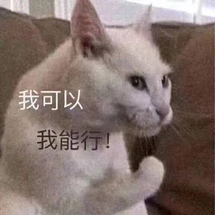 魔性小猫咪表情包