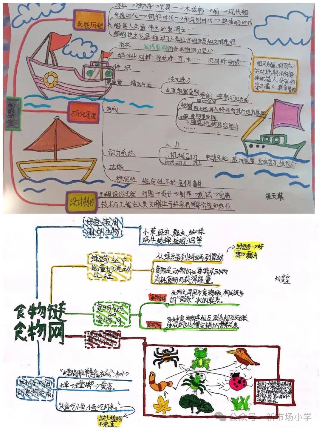 科学火山喷发手抄报图片