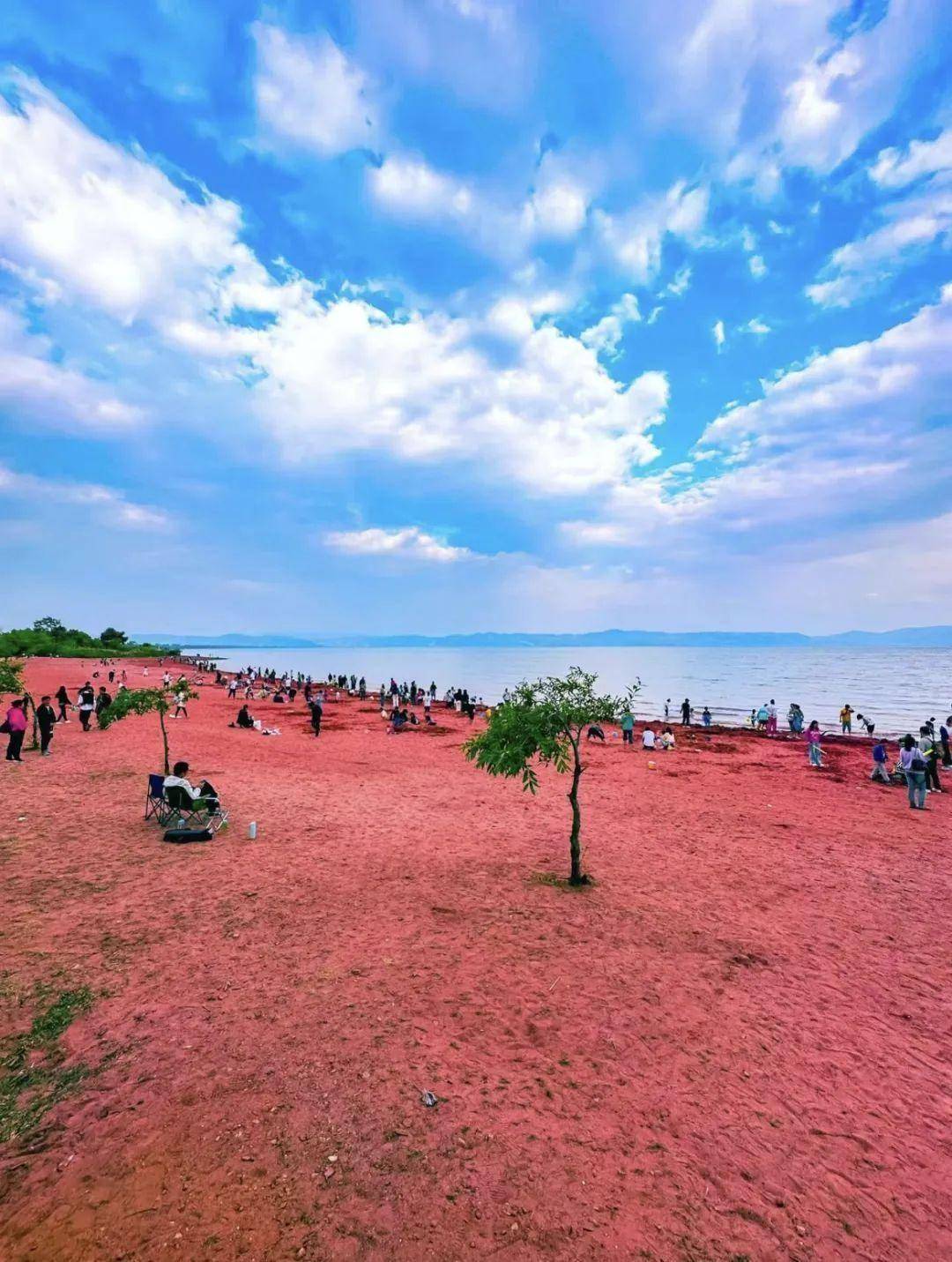 中国"唯一"的粉色沙滩,昆明1h直达,趁着没火赶紧来吧!