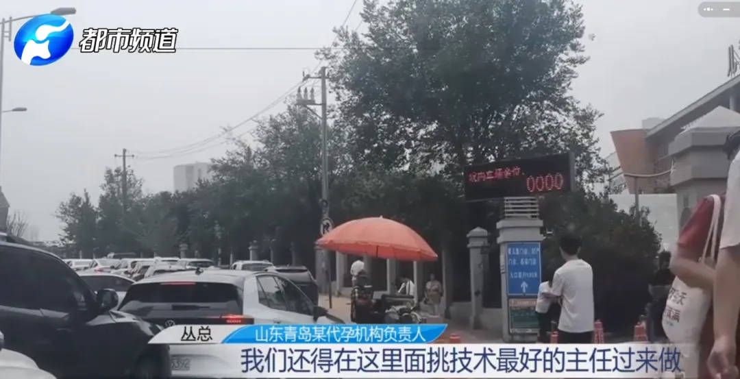 青岛代孕价格曝光：选性别95万，全产业链暗藏风险