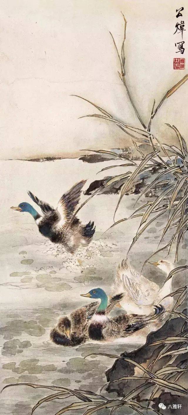 八雅轩丨【八雅丹青】田世光工笔花鸟大全,张张精彩!