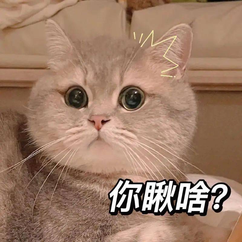 强得可怕!文明用语的力量你get了吗?_chbqtw_生活_peace