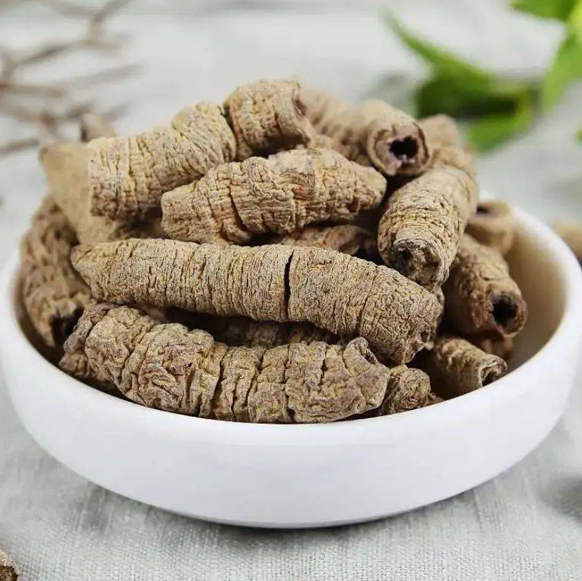 专家来支招丨漳州药材 南方人参