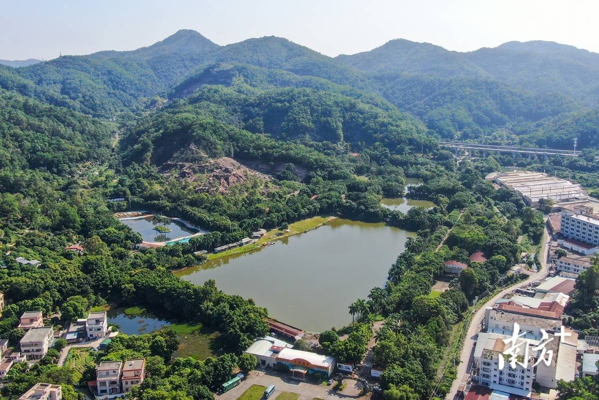 中山板芙白溪村街女图片