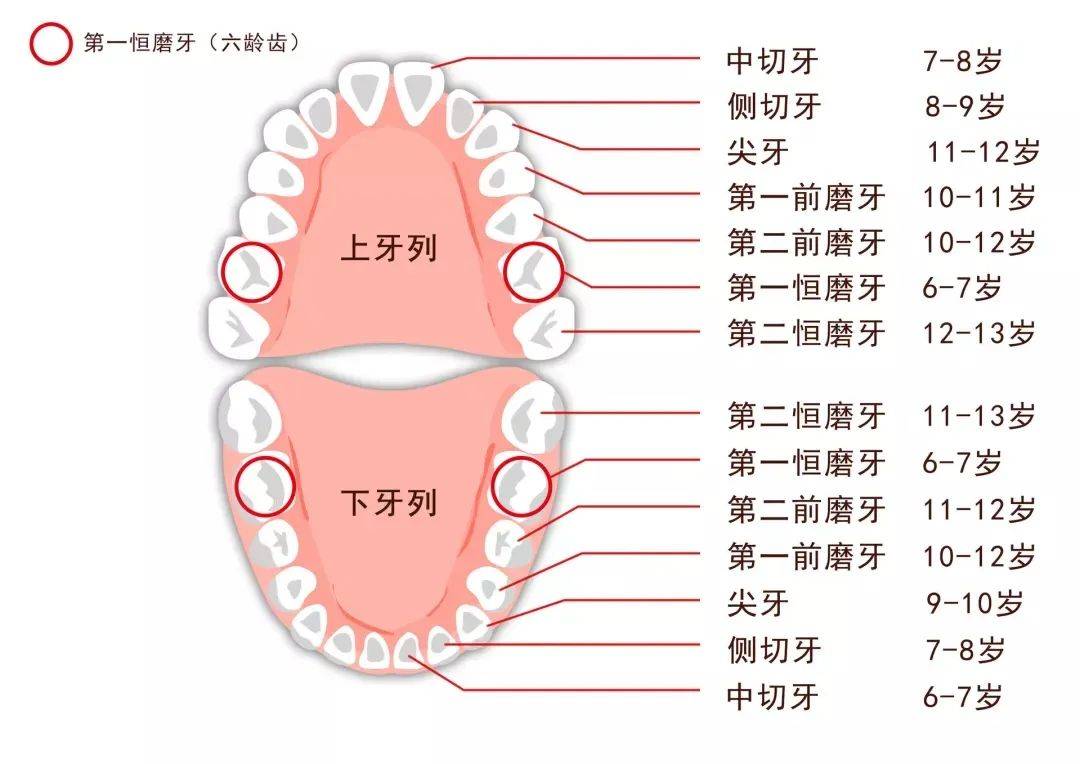 它的面积大