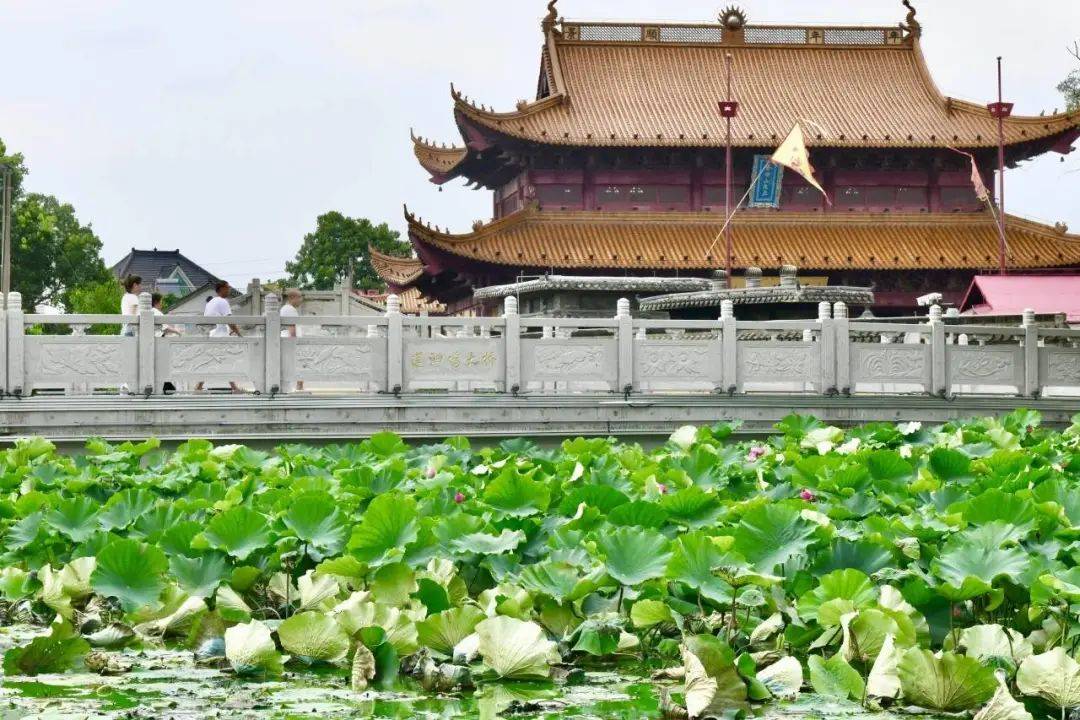 嘉兴王江泾旅游景点图片