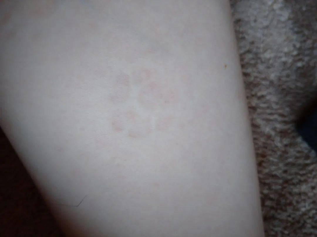 几十斤的胖猪将水蜜桃全踩个遍,留下猫脚印,主人:踩桃比踩我还痛!