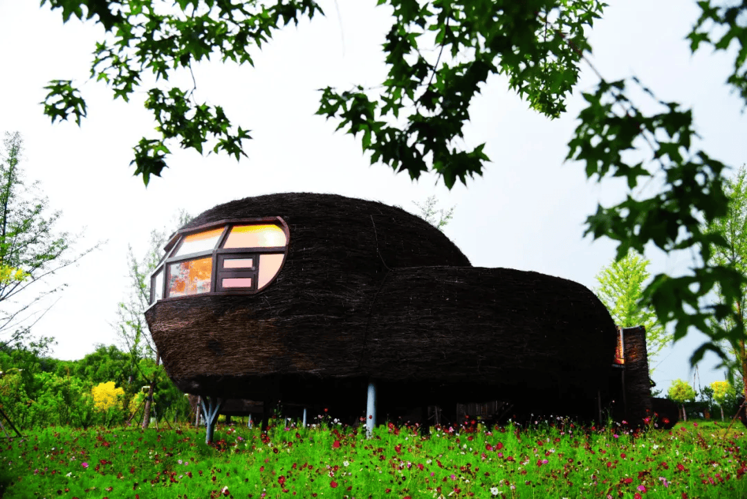 官厅水库国家湿地公园未来画卷咋描绘?董事长如是说