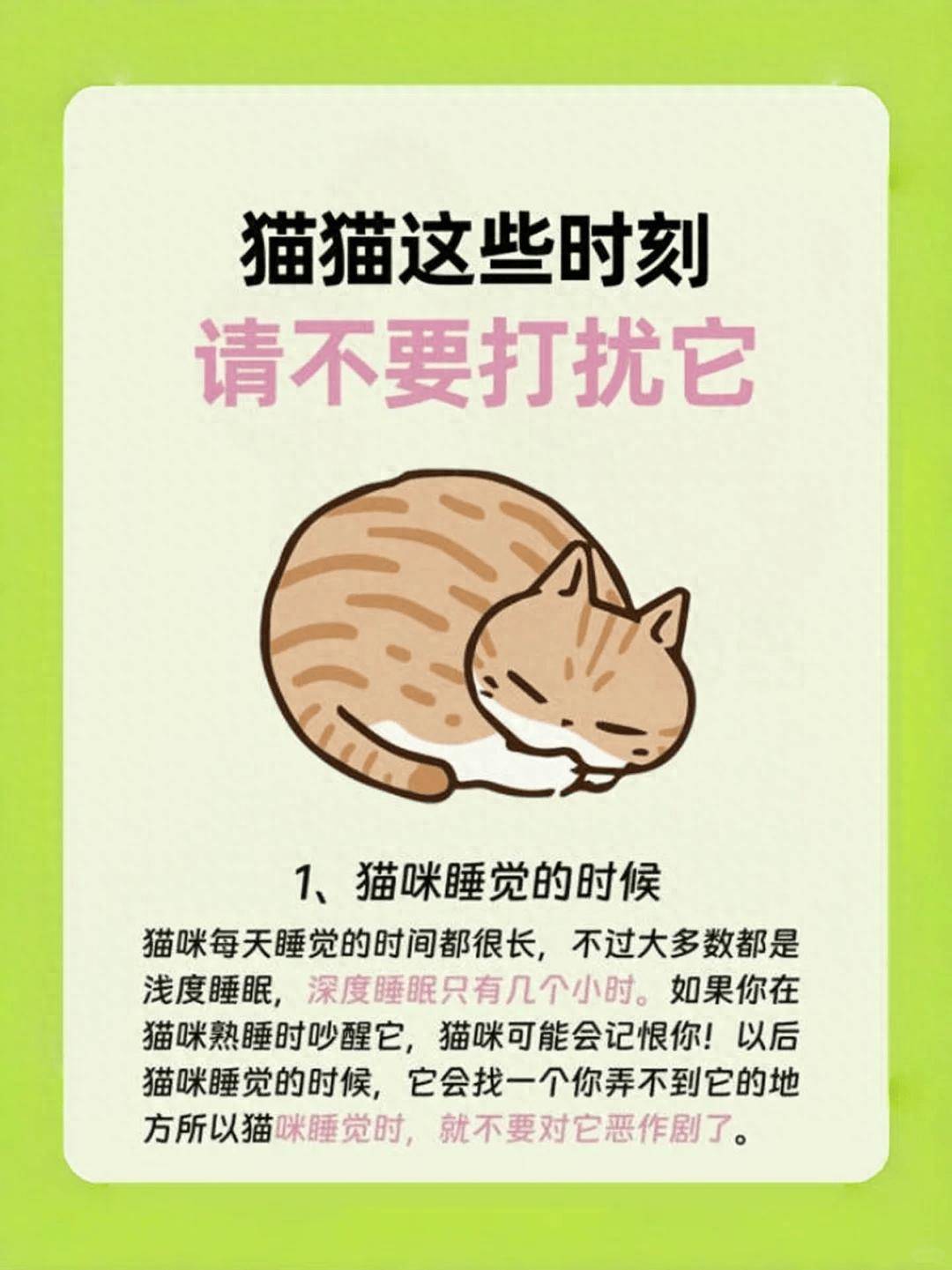 这几个时候不要“打扰”猫咪，不然会被它记恨！_搜狐网