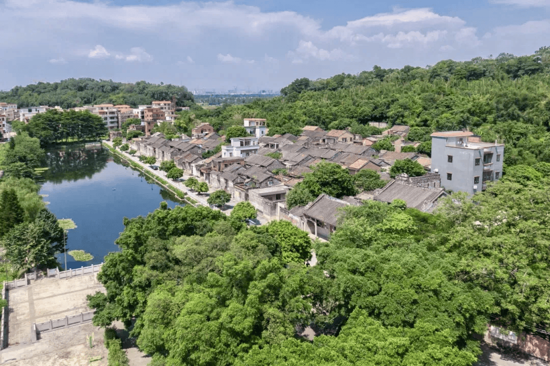 佛山沥水镇图片