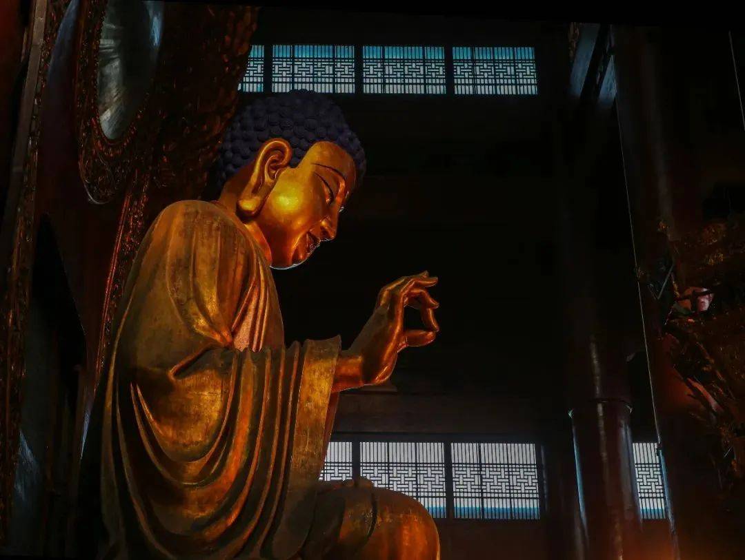 于诸有情 修悲愍心（总第859期）_修慈俱_情缘_如来