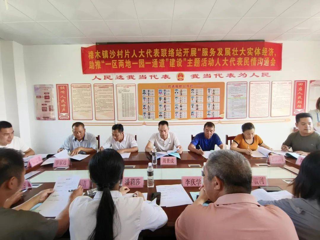 【乡镇人大】樟木镇组织开展2024年度人大代表"混合编组,多级联动