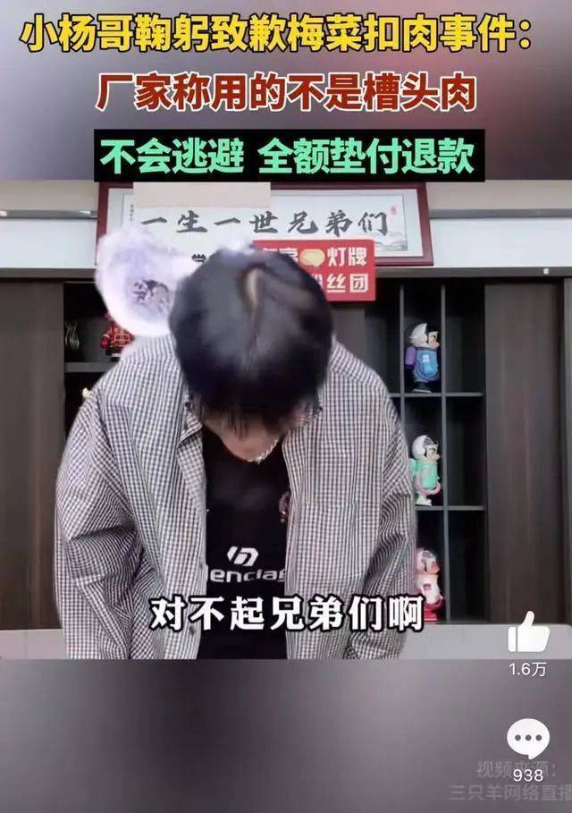 3·15“槽头肉事件”，三只羊未受任何相关部门处罚？合肥官方回应