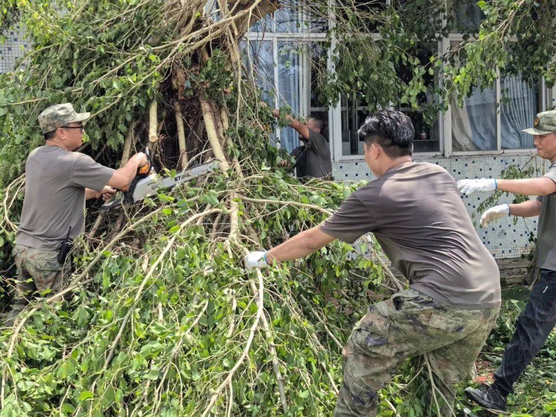 重建家园!我们全体"动"起来(二)