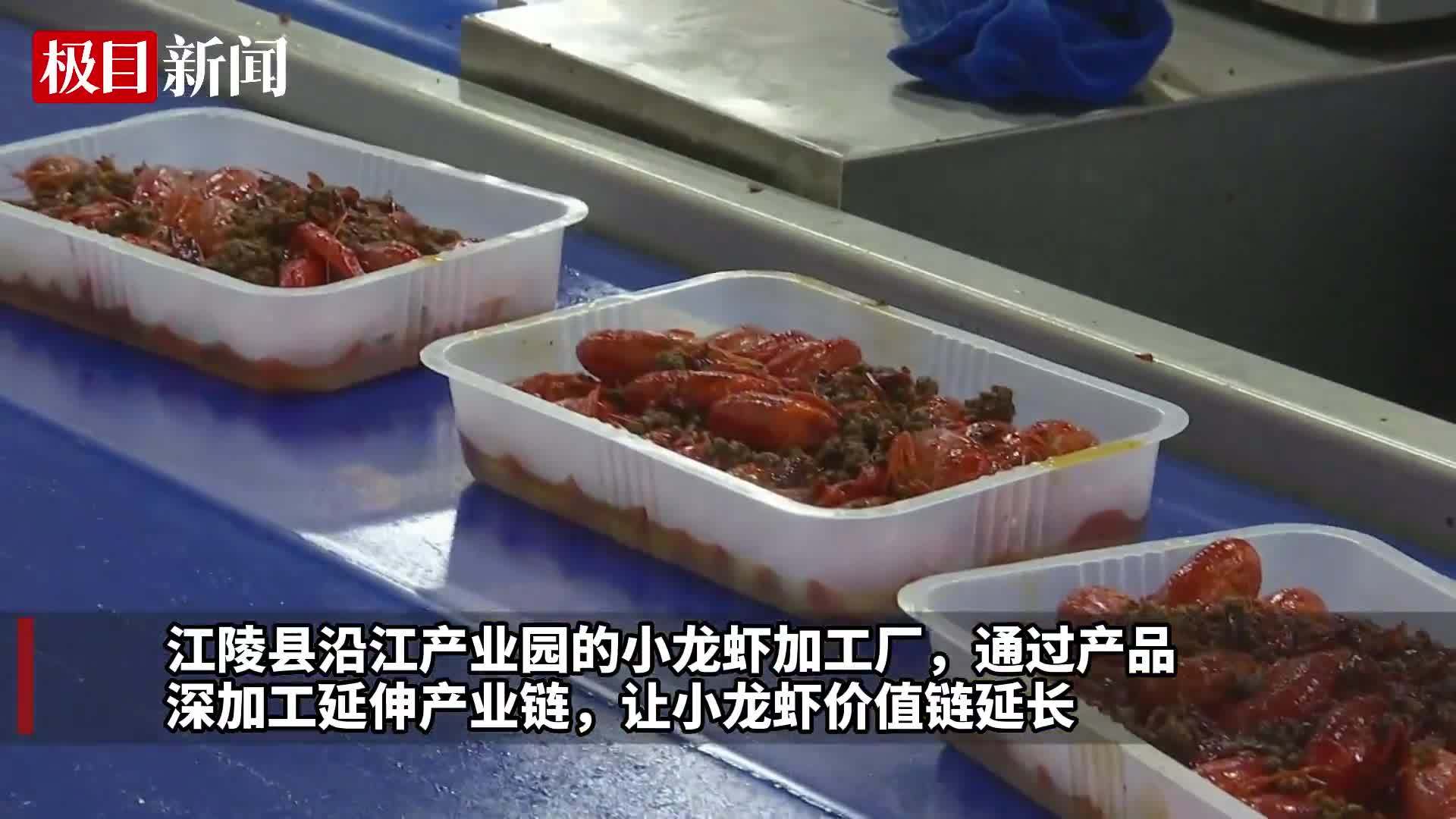 致富经养小龙虾视频播放(致富经小龙虾养殖视频播放)