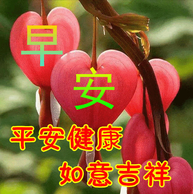 最新早上好表情包2024新版早上表情包天天都如意日日皆欢喜
